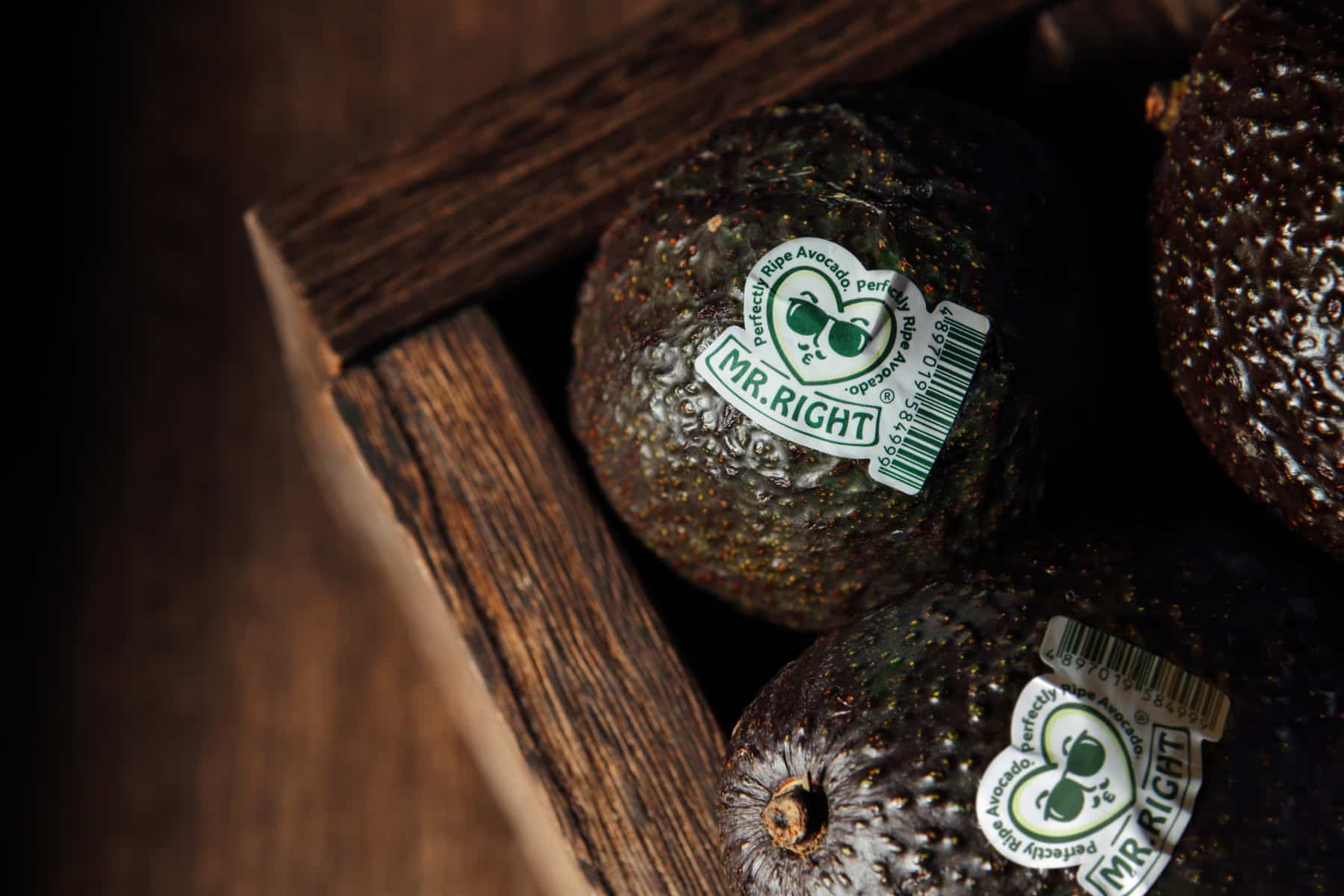 Mr. Right | Perfectly Ripe Avocado | Branding design