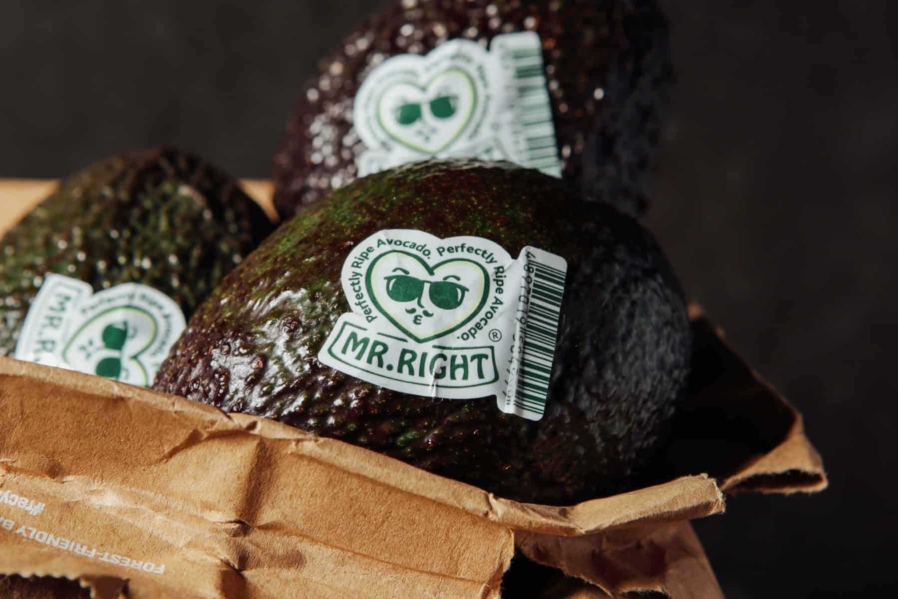 Mr. Right | Perfectly Ripe Avocado | Branding design