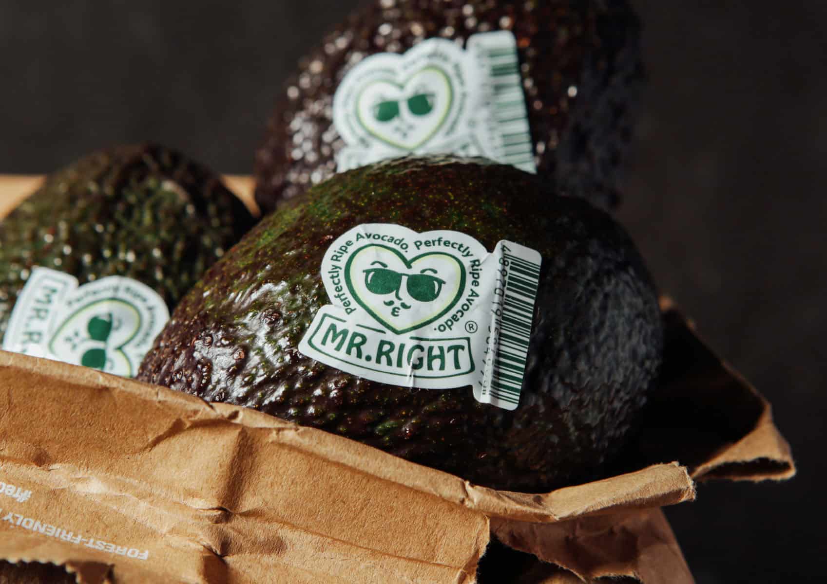 Mr. Right | Perfectly Ripe Avocado | Branding design