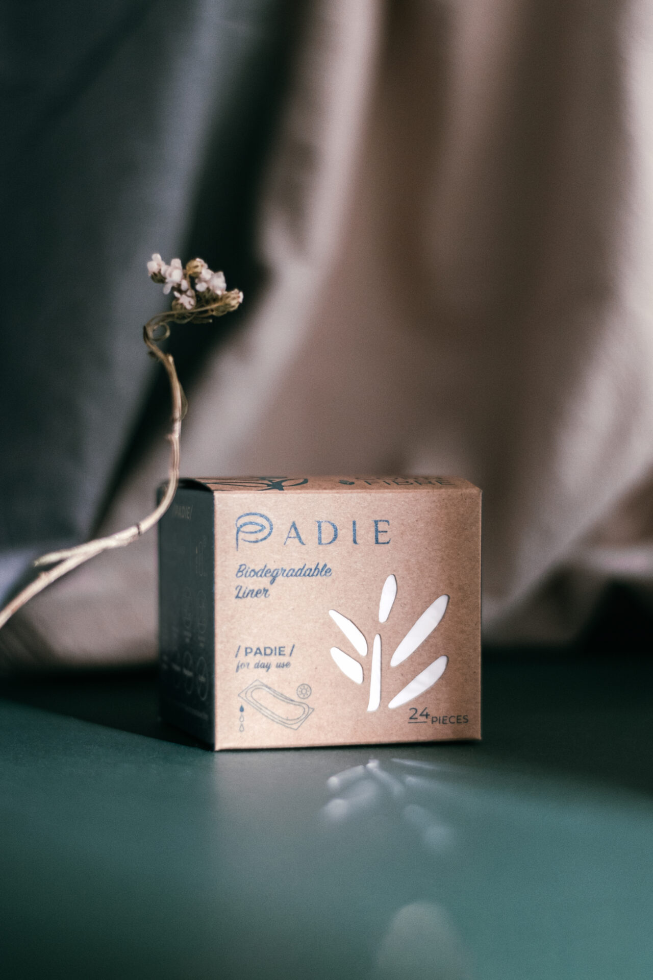 PADIE - Biodegradable Pads | Branding and Packaging Design