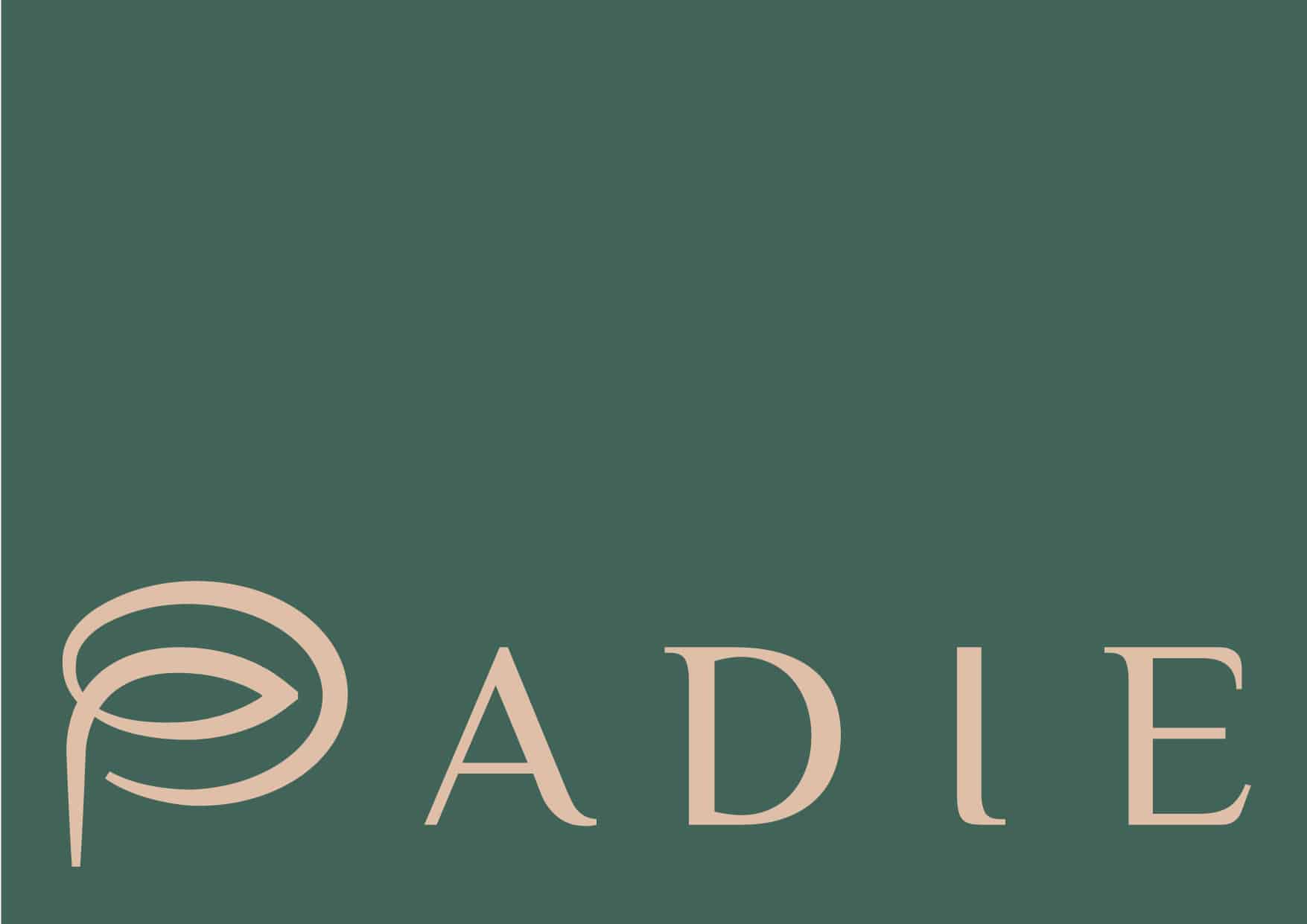 PADIE - Biodegradable Pads | Branding and Packaging Design