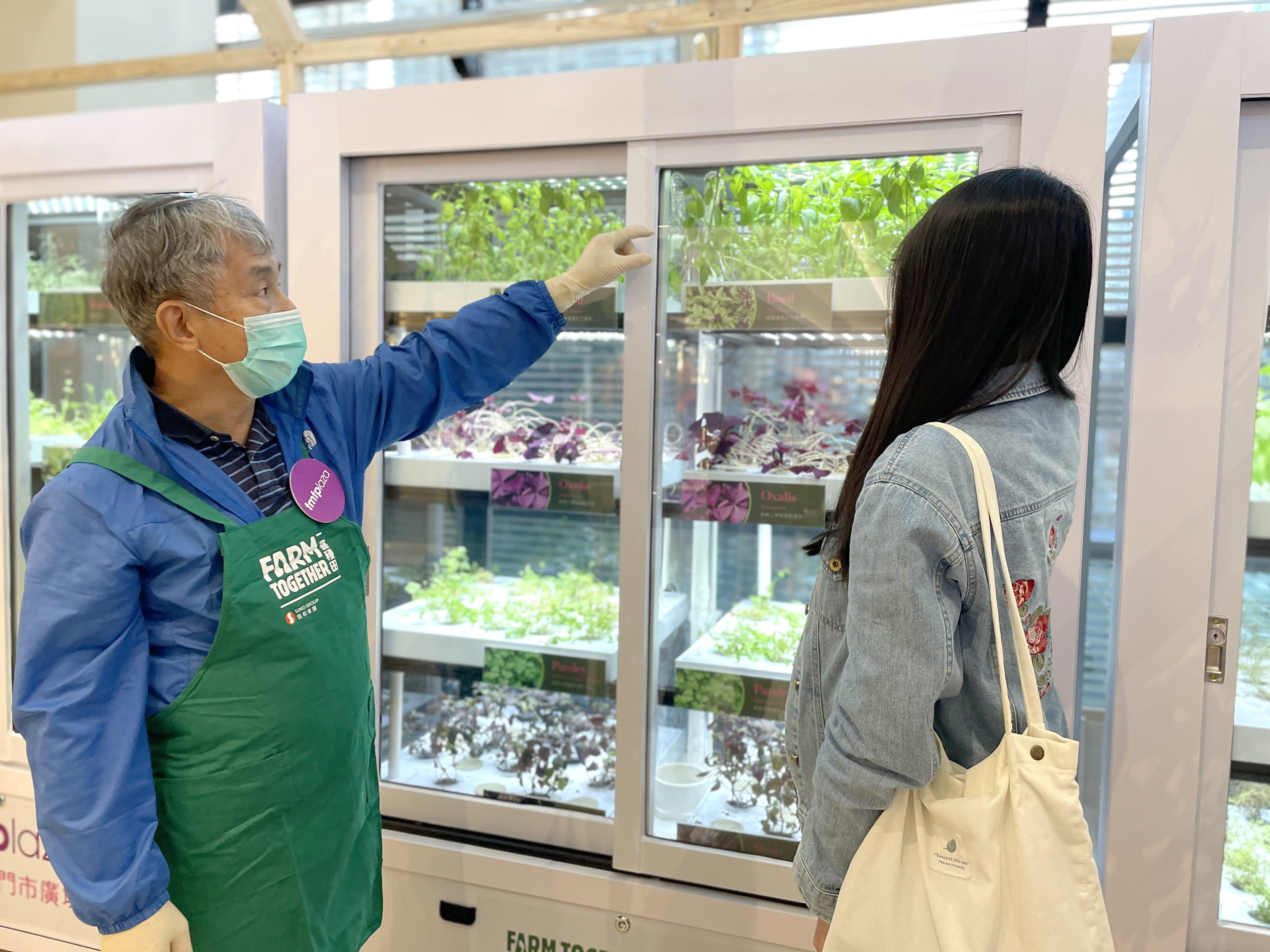 FARMACY GREENHOUSE at tmtplaza