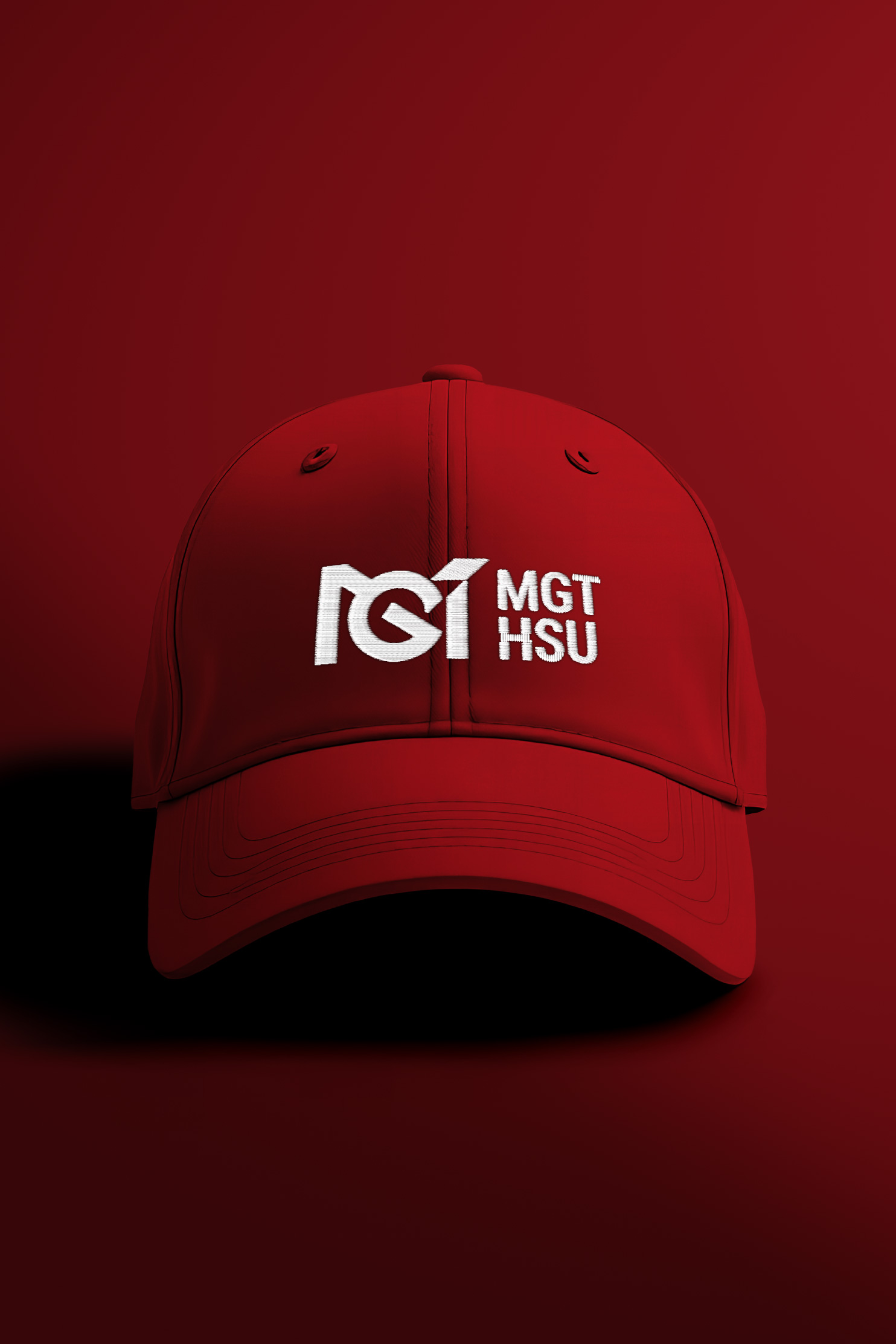 The Department of Management at HSUHK | Branding Design