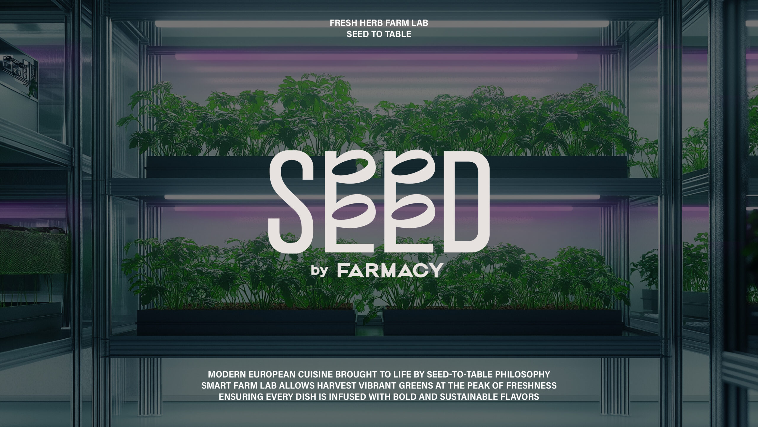 Seed By Farmacy_Web-02 Seed By Farmacy | Branding & Packaging Design