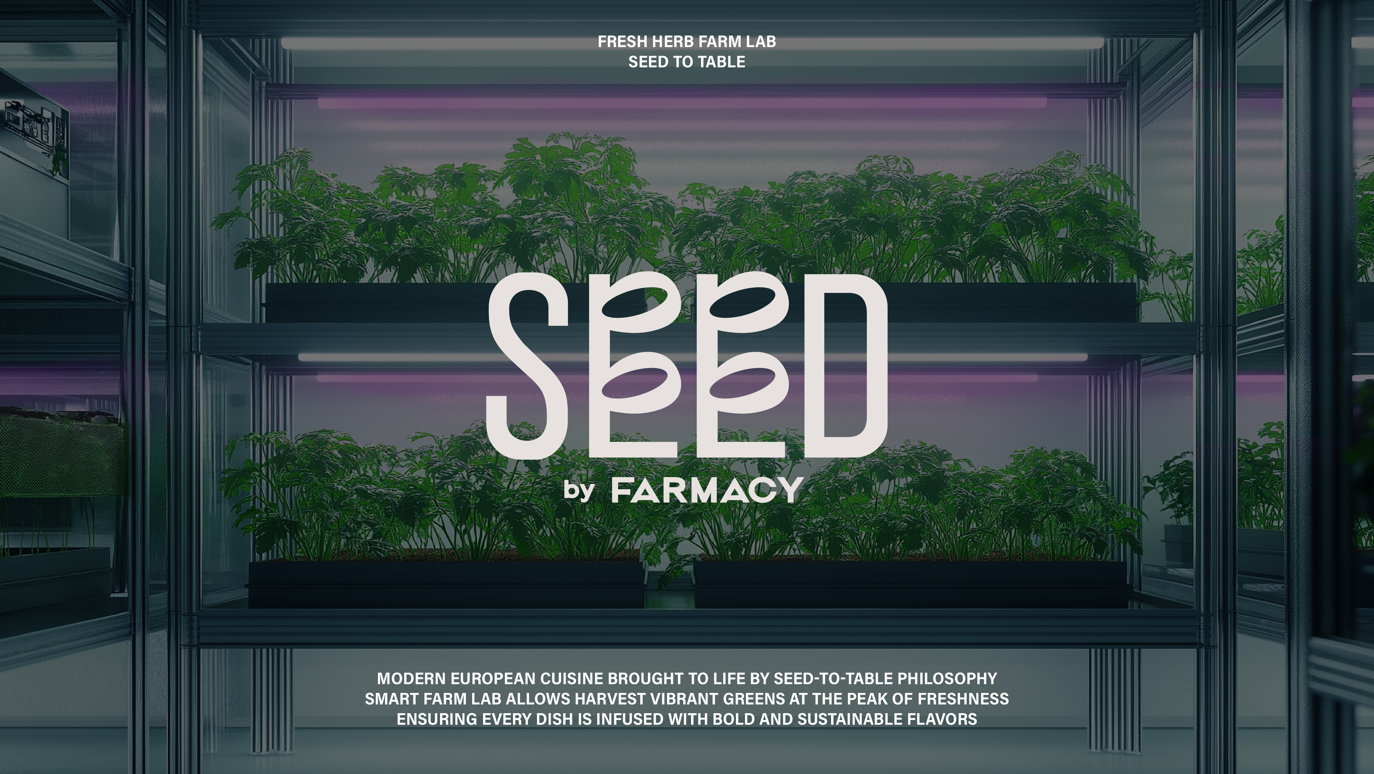 Seed By Farmacy_Web-02 Seed By Farmacy | 品牌設計 及 包裝設計