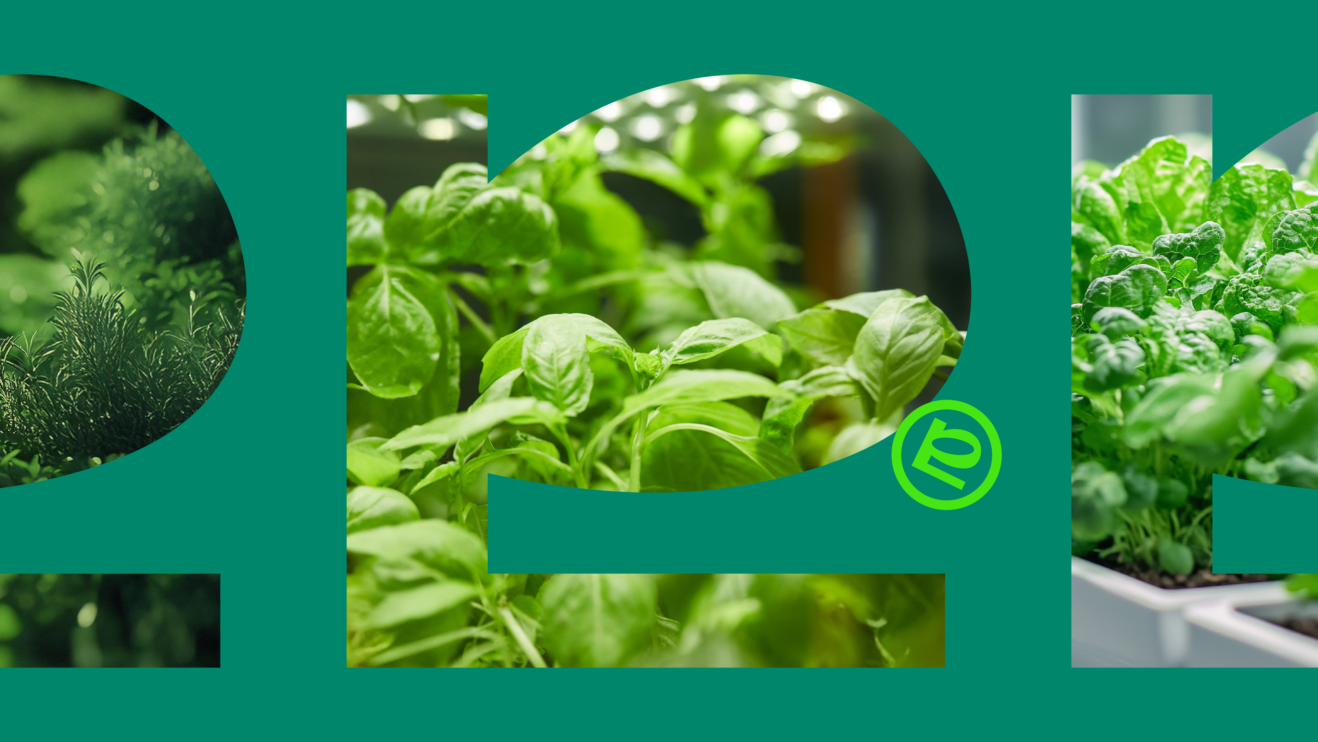 Seed By Farmacy_Web-07 Seed By Farmacy | 品牌設計 及 包裝設計