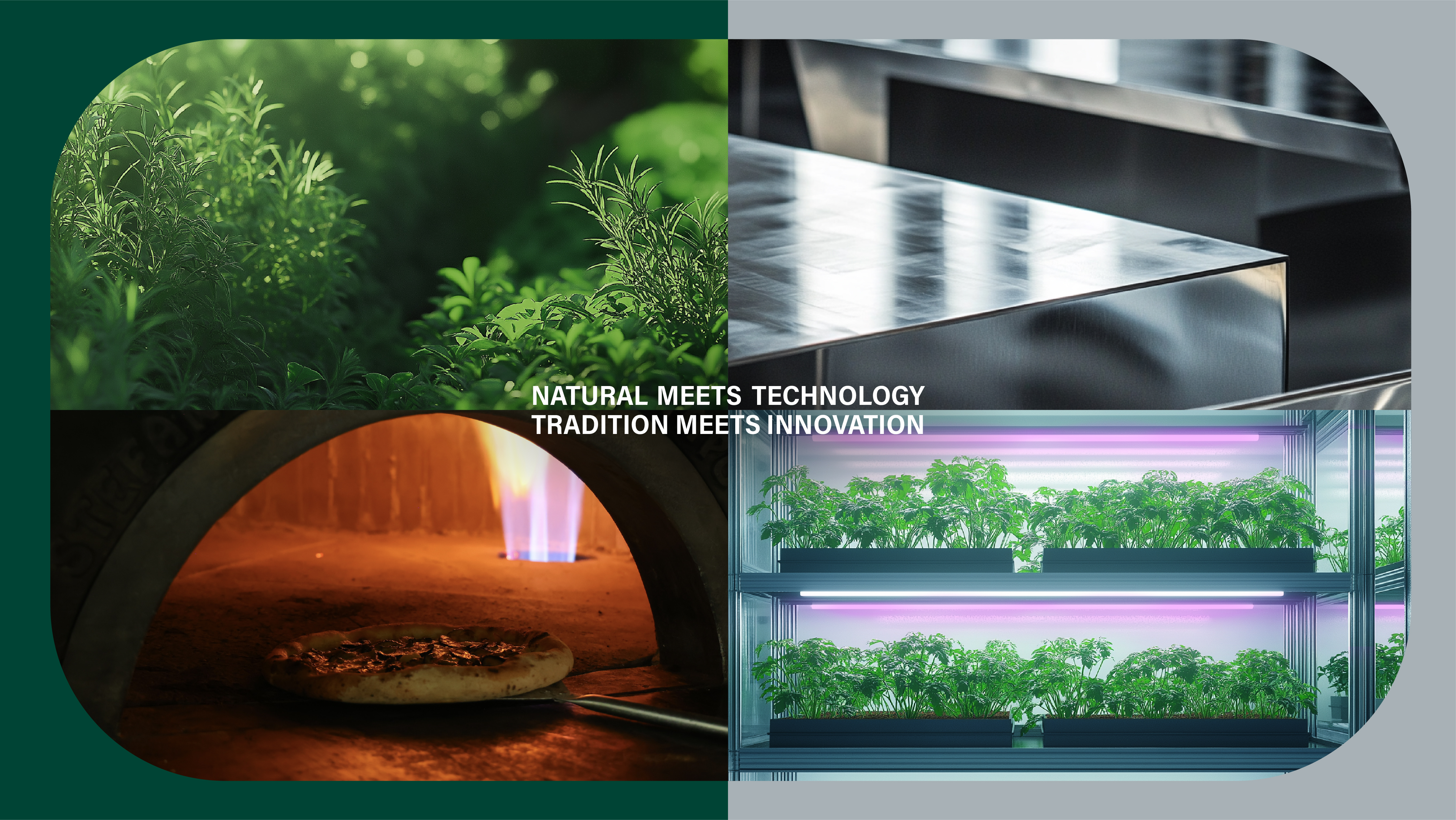 Seed By Farmacy_Web-14 Seed By Farmacy | 品牌設計 及 包裝設計