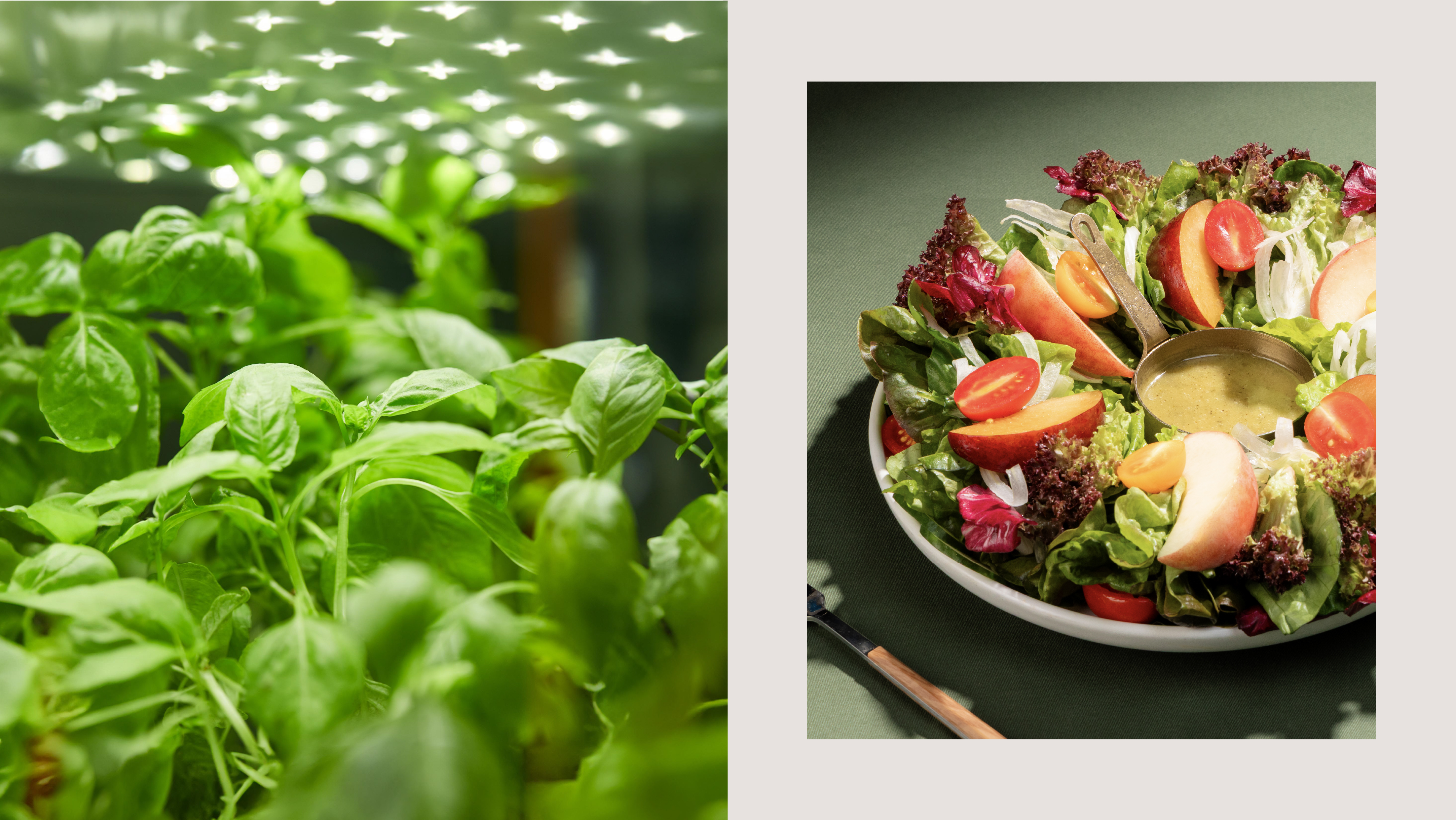 Seed By Farmacy_Web-21 Seed By Farmacy | 品牌設計 及 包裝設計