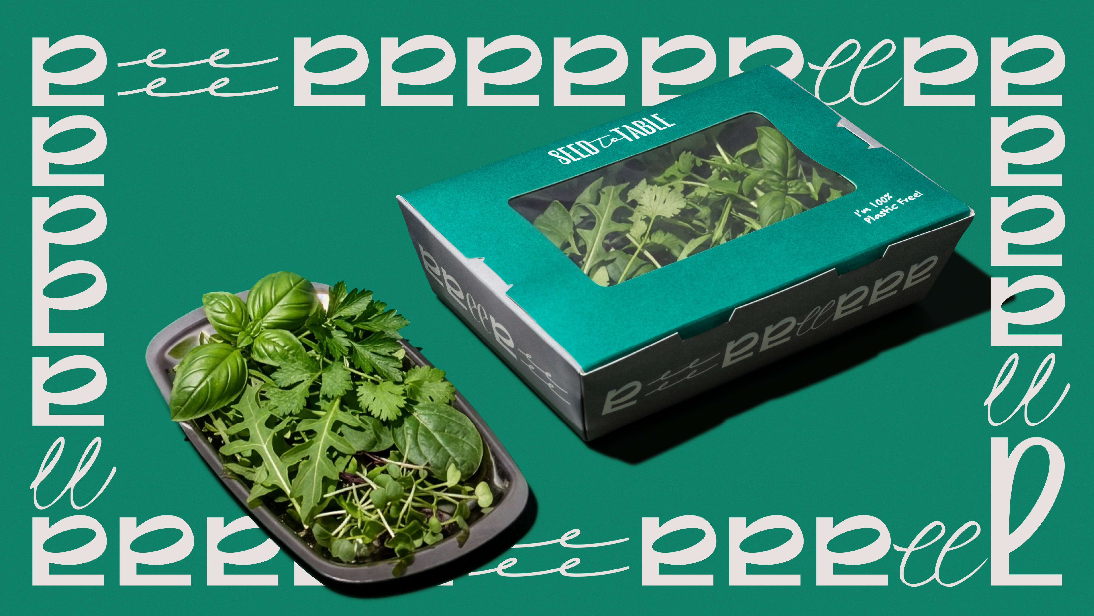 Seed By Farmacy_Web-22 Seed By Farmacy | 品牌設計 及 包裝設計