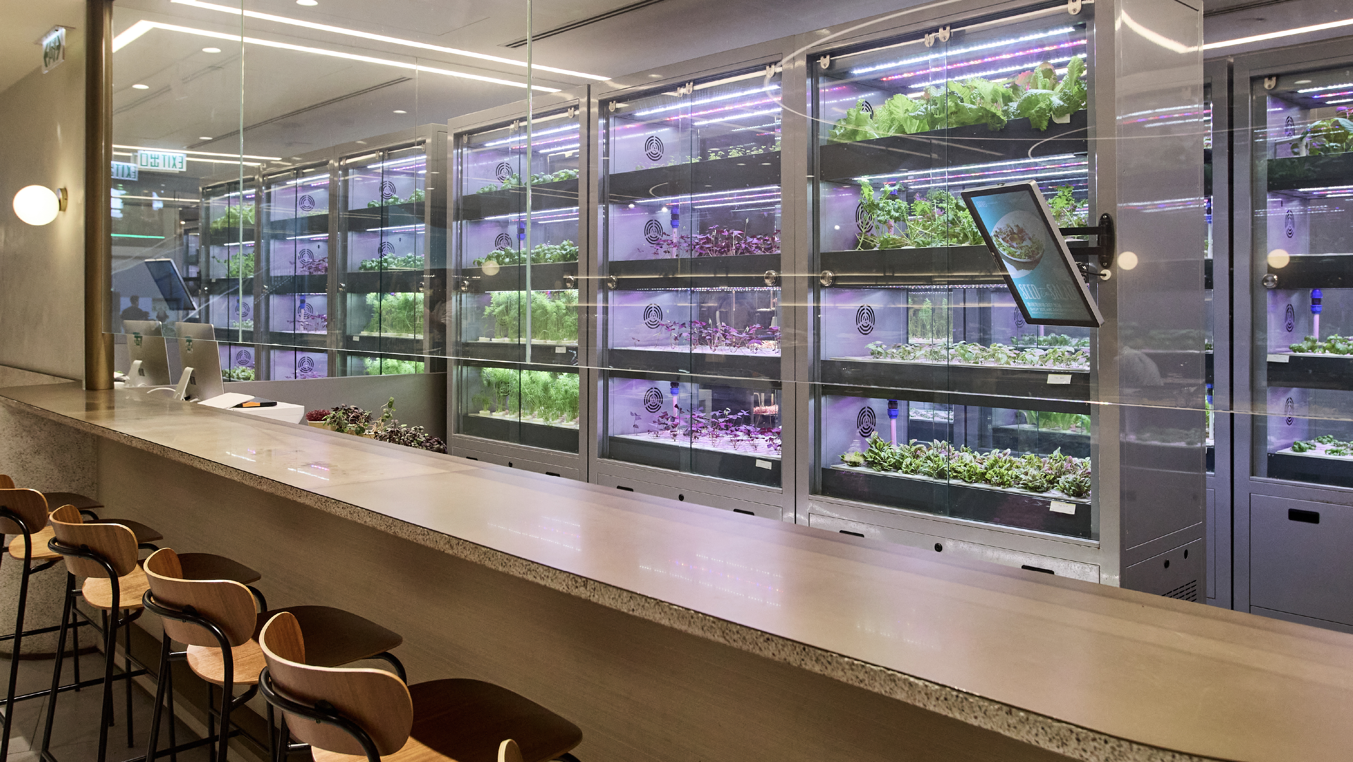 Seed By Farmacy_Web-33 Seed By Farmacy | 品牌設計 及 包裝設計