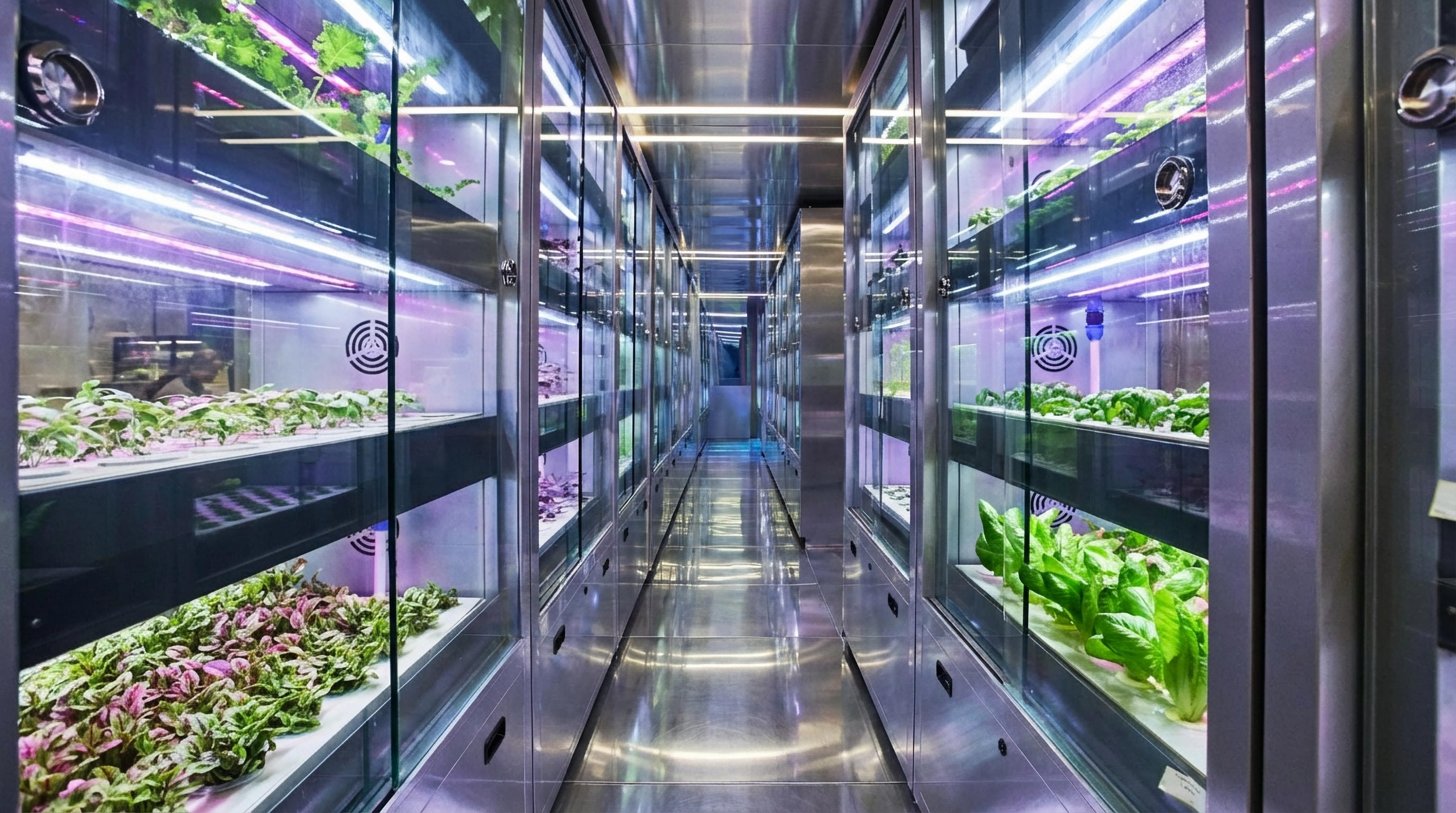 mockup - illustrationImage (1) Seed By Farmacy | 品牌設計 及 包裝設計